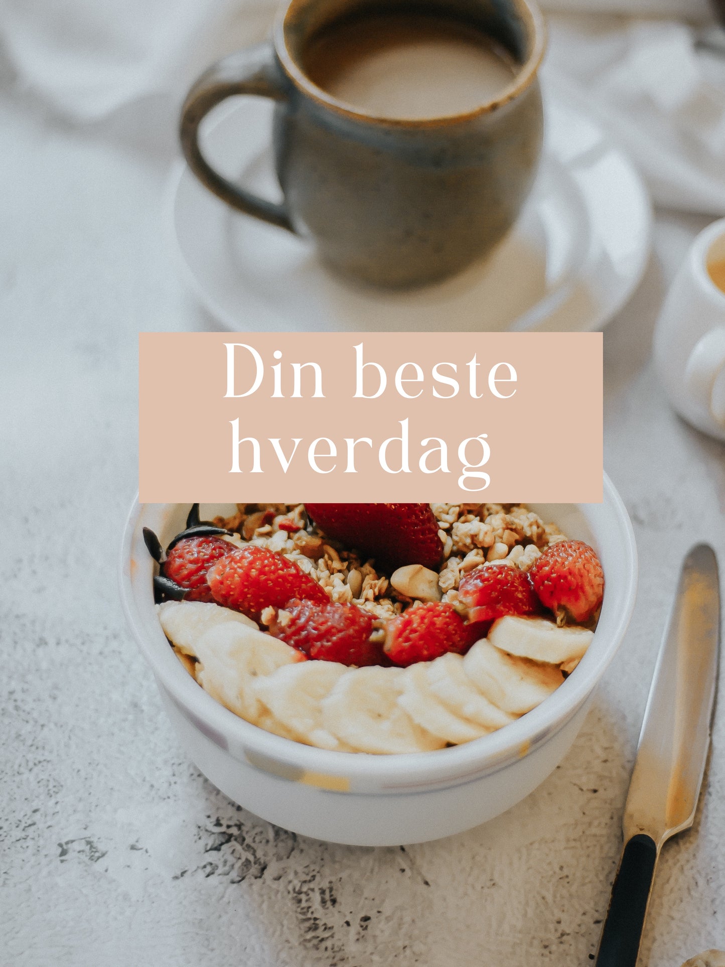 Din beste hverdag E bok