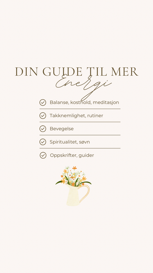 Din guide til mer energi E bok