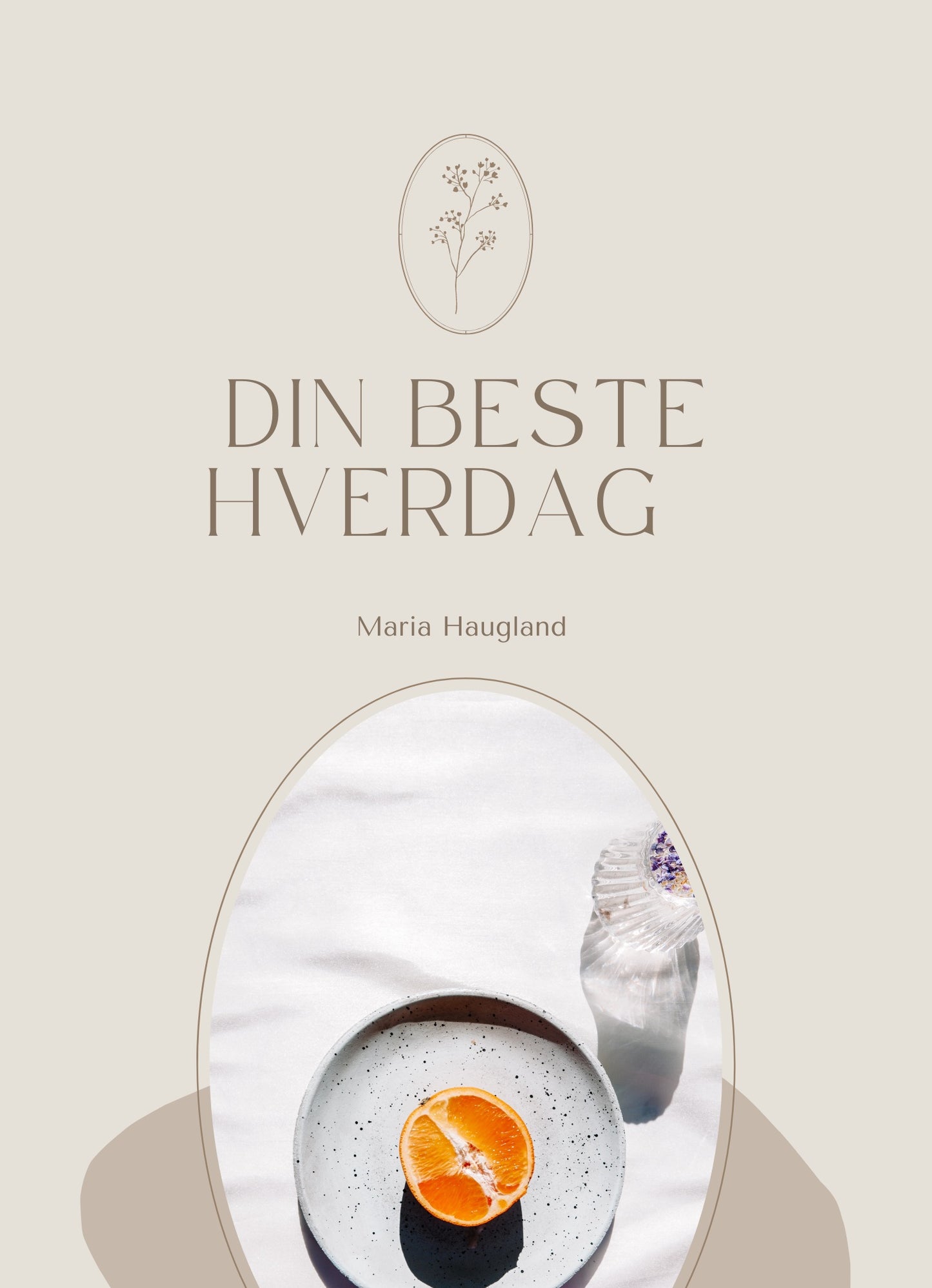 Din beste hverdag E bok